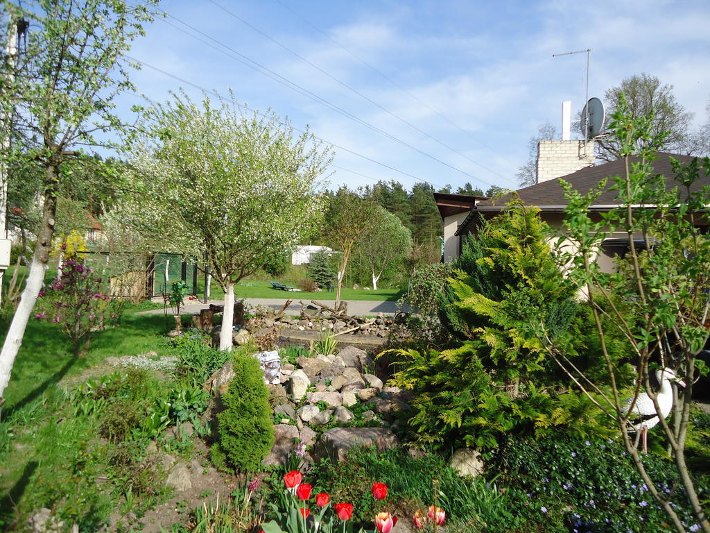 Homestay Roja Vilnius Exteriér fotografie